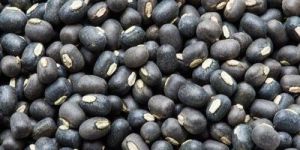 Black Urad Dal