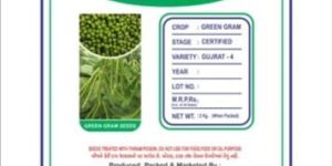 Hybrid Green Moong Seeds