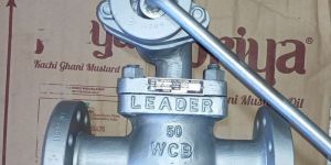 Wcb Gate Valve