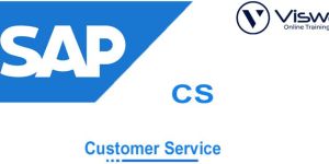 Sap Cs Online Training Institute