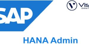 SAP HANA Admin Online Coaching Classes in India, Hyderabad