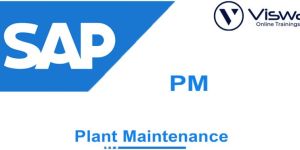 Best SAP PM Online Training Institute in Hyderabad
