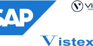 Sap Vistex Professional Certification