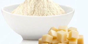Spray Dried Cheese Powder