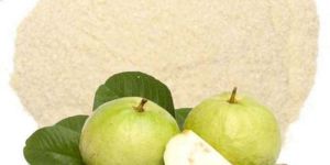 Spray Dried Guava Powder