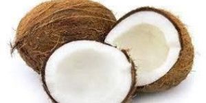 Coconut