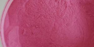 Spray Dried Jamun Powder