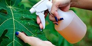 Bio Pesticides