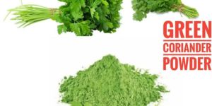 Green Coriander Powder