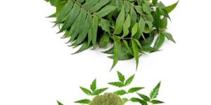 Neem Leaves Powder