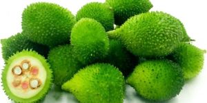 Fresh Spine Gourd (Kakrol)