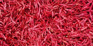 Dried Red Chili