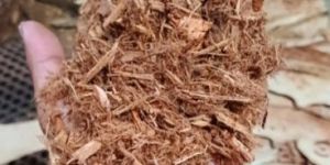 Veneer Wood Chips