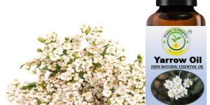 Yarrow Oil