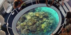 Glass Bottom Boat Rides