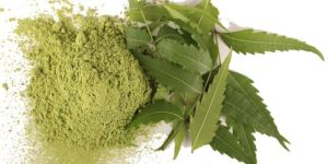 Neem Powder