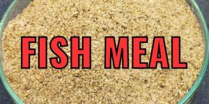Fish Meal