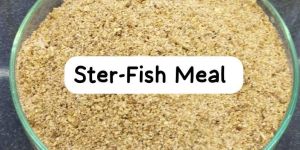 Ster Fish Meal