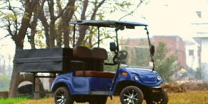 Electric Golf Cart
