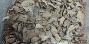 Dry Ginger