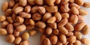 Groundnut Seeds