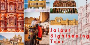 Local Sightseeing Tours