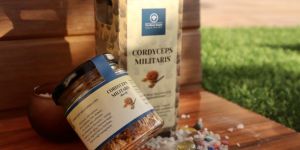 Cordyceps Militaris Mushrooms