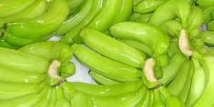 Fresh Cavendish Banana