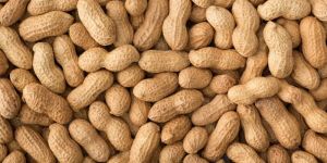 Shelled Groundnut