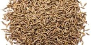 Cumin Seeds
