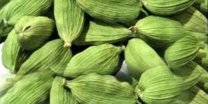 Green Cardamom