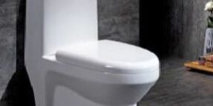 One Piece Toilet Seat