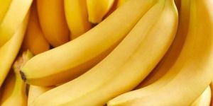 Yellow Malbhog Banana