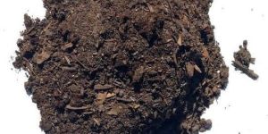 Organic Fertilizer