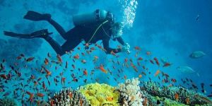 Scuba Diving in North Bay Island