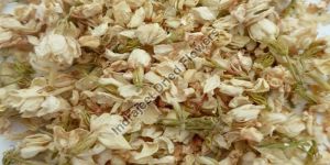 Dried Jasmine Flower