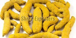 Nizamabad Turmeric Finger