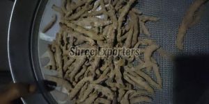 Rajapuri Turmeric Finger