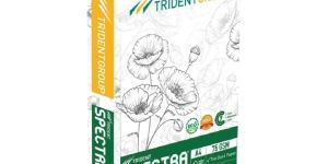 Trident Spectra 75 GSM A4 Size Copier Paper White 500 Sheets (Pack of 1 Ream)
