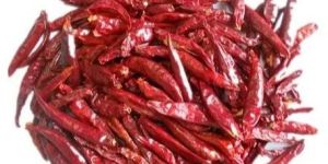 Raw Red Chilli