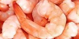 Frozen Shrimps