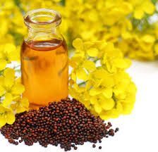 Mustard Oil