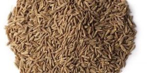 Brown Cumin Seeds