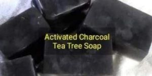 Tea Tree Activated Charcoal Soap