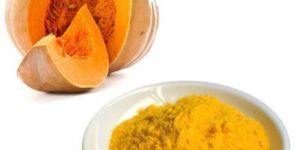 Spray Dried Pumpkin Powder