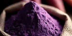 Spray Dried Purple Carrot Powder