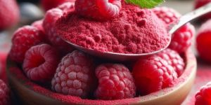 Spray Dried Raspberry Powder