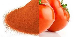 Spray Dried RT Tomato Powder