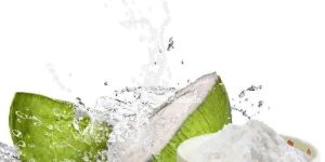 Spray Dried Tender Coconut Powder