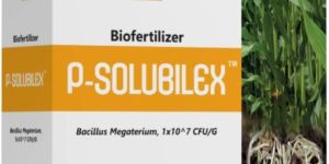 P-Solubilex Bio Fertilizer